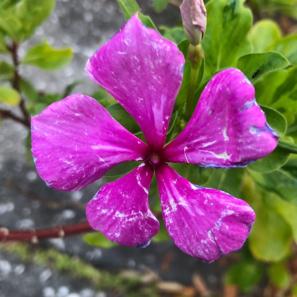 Meet your Posher, Cari